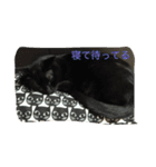 ねこねこねこねこ！（個別スタンプ：13）