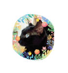 ねこねこねこねこ！（個別スタンプ：14）