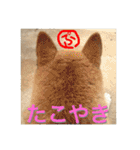 柴犬ぷりん2018 Vol.2（個別スタンプ：36）