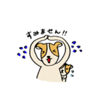 しげっち（個別スタンプ：4）