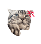 ねこじゃんふる（個別スタンプ：6）