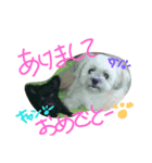 paruritan（個別スタンプ：1）