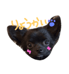 paruritan（個別スタンプ：4）