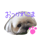 paruritan（個別スタンプ：6）