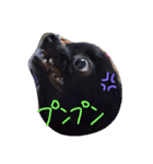 paruritan（個別スタンプ：7）
