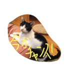 ポタポタノビ1000%（個別スタンプ：6）