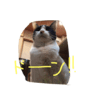 ポタポタノビ1000%（個別スタンプ：8）