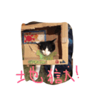 ポタポタノビ1000%（個別スタンプ：14）
