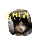 ポタポタノビ1000%（個別スタンプ：15）