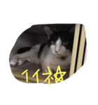 ポタポタノビ1000%（個別スタンプ：16）