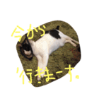 ポタポタノビ1000%（個別スタンプ：20）