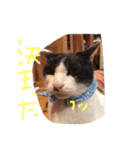 ポタポタノビ1000%（個別スタンプ：22）