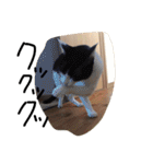ポタポタノビ1000%（個別スタンプ：25）