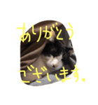 ポタポタノビ1000%（個別スタンプ：31）