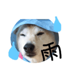 犬と馬が語る（個別スタンプ：2）