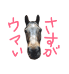 犬と馬が語る（個別スタンプ：5）