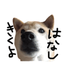 犬と馬が語る（個別スタンプ：7）