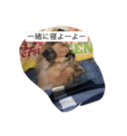 翔ちゃーん（個別スタンプ：5）