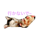 みいちゃんの日常スタンプ（個別スタンプ：1）