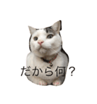 みいちゃんの日常スタンプ（個別スタンプ：4）