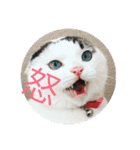 みいちゃんの日常スタンプ（個別スタンプ：19）