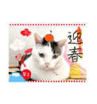 みいちゃんの日常スタンプ（個別スタンプ：25）