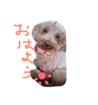 ももちゃん＆りく（個別スタンプ：1）