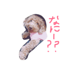 ももちゃん＆りく（個別スタンプ：3）