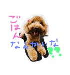 ももちゃん＆りく（個別スタンプ：6）