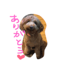 ももちゃん＆りく（個別スタンプ：9）