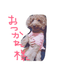 ももちゃん＆りく（個別スタンプ：12）
