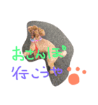ももちゃん＆りく（個別スタンプ：13）