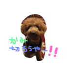 ももちゃん＆りく（個別スタンプ：14）