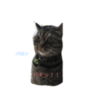 rechabarr（個別スタンプ：5）