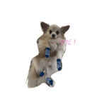 rechabarr（個別スタンプ：7）