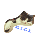 あわし（個別スタンプ：3）