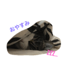 あわし（個別スタンプ：4）
