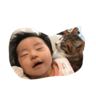 My family (Yamazaki)（個別スタンプ：15）