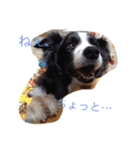 我が家クゥー（個別スタンプ：2）