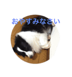 我が家クゥー（個別スタンプ：9）