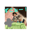 あおちゃん65（個別スタンプ：12）
