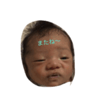 ひな1125（個別スタンプ：5）