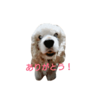 アメコカ 〜日常〜（個別スタンプ：4）