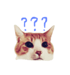 みいたすと仲間たち（個別スタンプ：1）