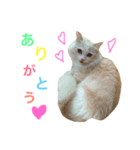 みいたすと仲間たち（個別スタンプ：6）
