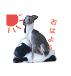 kawaii,itagureken,hana（個別スタンプ：4）