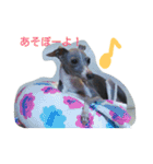 kawaii,itagureken,hana（個別スタンプ：13）