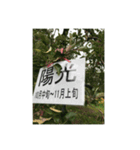埼玉のお姉ちゃんのリンゴ狩りです。（個別スタンプ：2）