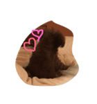 堀犬太郎の毎日（個別スタンプ：2）