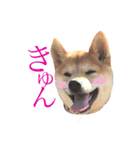 敬語で挨拶 柴犬はな 冬編（個別スタンプ：6）